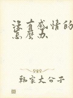 没有感情的夫妻怎么办