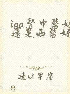 iga肾中医好还是西医好