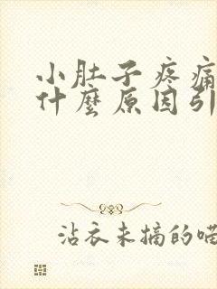 小肚子疼痛男性什么原因引起的