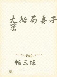 大结局妻子的秘密