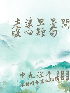 老婆早晨问候的暖心短句