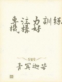 专注力训练哪个机构好