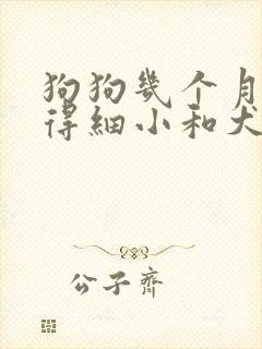 狗狗几个月容易得细小和犬瘟