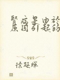 肾病是由于什么原因引起的