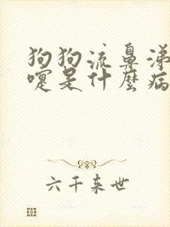 狗狗流鼻涕打喷嚏是什么病