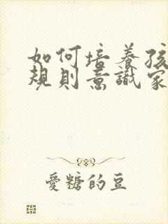 如何培养孩子的规则意识家长心得体会意识