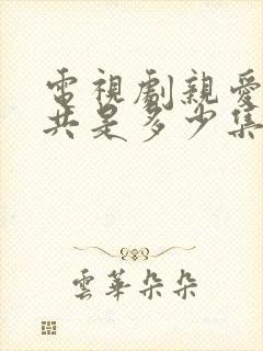 电视剧亲爱的一共是多少集