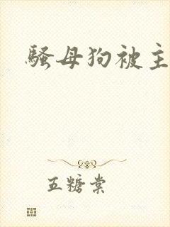 骚母狗被主人操