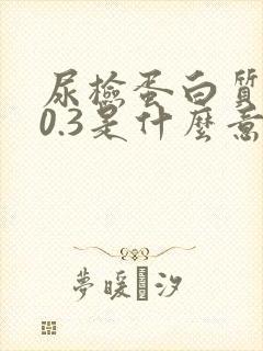 尿检蛋白质1+0.3是什么意思