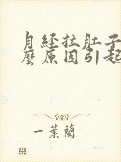 月经拉肚子是什么原因引起的