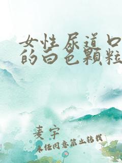 女性尿道口里面的白色颗粒状