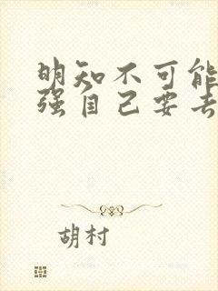 明知不可能还勉强自己要去撑歌词是什么意思