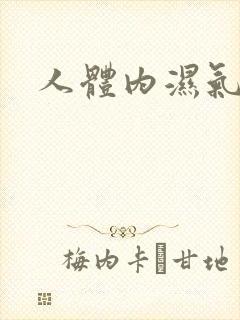 人体内湿气太重