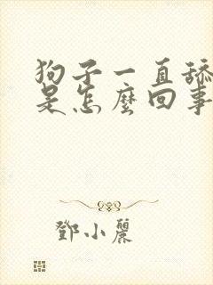 狗子一直舔爪子是怎么回事