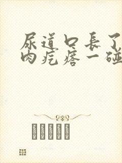 尿道口长了个小肉疙瘩一碰就疼