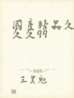 国产精品久久久久久99