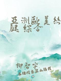 亚洲欧美丝袜美腿 综合