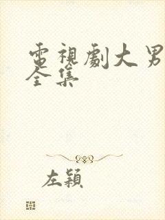 电视剧大男当婚全集