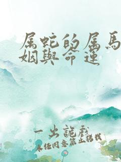 属蛇的属马的婚姻与命运