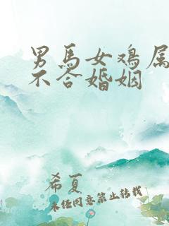 男马女鸡属相合不合婚姻