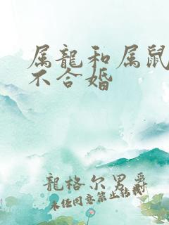 属龙和属鼠的合不合婚