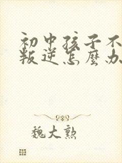 初中孩子不上学叛逆怎么办