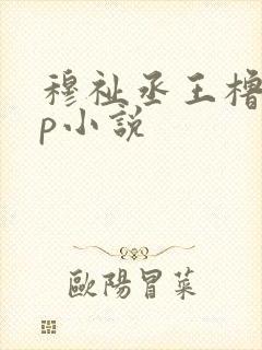 穆祉丞王橹杰cp小说