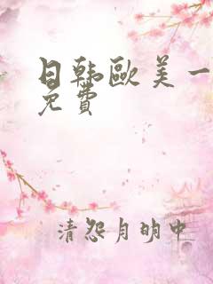 日韩欧美一级片免费