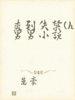 爽到失禁(h)男男小说