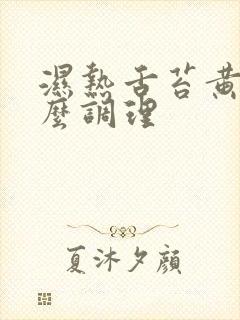 湿热舌苔黄厚怎么调理