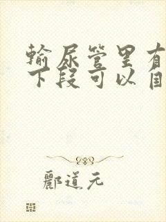 输尿管里有结石下段可以自行排出吗