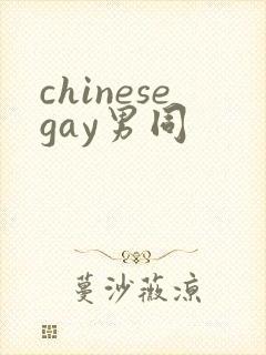 chinesegay男同