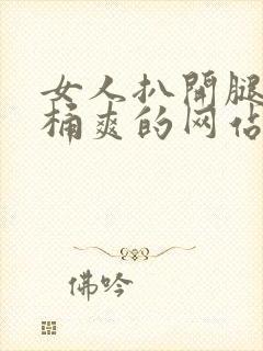 女人扒开腿让人桶爽的网站