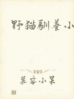 野猫驯养小说