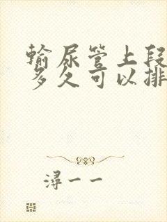 输尿管上段结石多久可以排出