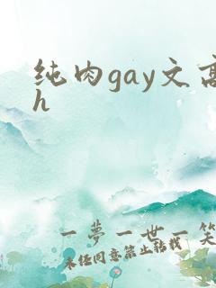 纯肉gay文高h