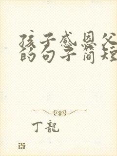 孩子感恩父亲节的句子简短