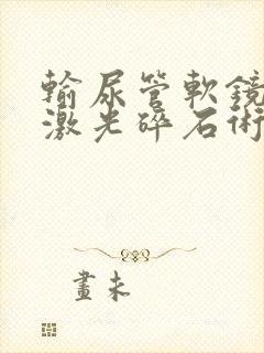 输尿管软镜下钬激光碎石术