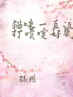 猫咪一直流鼻涕打喷嚏好几个月了