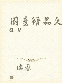 国产精品久久久aⅴ