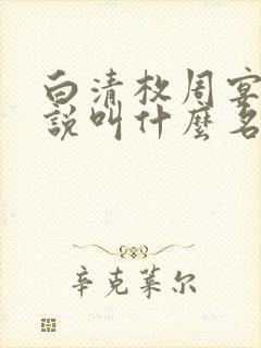 白清枚周宴安小说叫什么名字