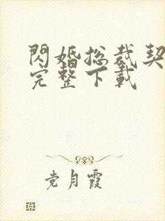 闪婚总裁契约妻完整下载