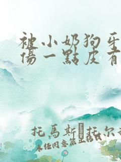 被小奶狗牙齿划伤一点皮有事吗