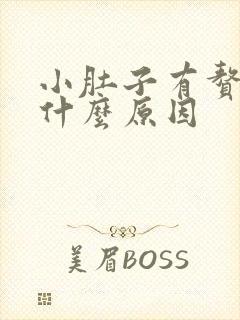 小肚子有赘肉是什么原因