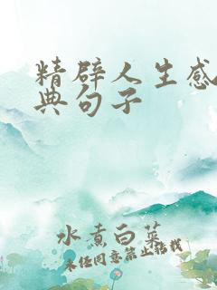 精辟人生感悟经典句子