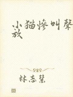 小猫惨叫声音播放