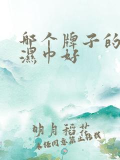 哪个牌子的儿童湿巾好