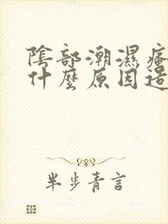 阴部潮湿瘙痒是什么原因造成的