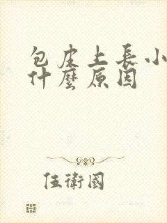 包皮上长小泡是什么原因