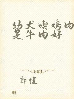 幼犬吃鸡肉好还是牛肉好